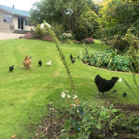 Southland Organic Farmstay Invercargill Extérieur photo