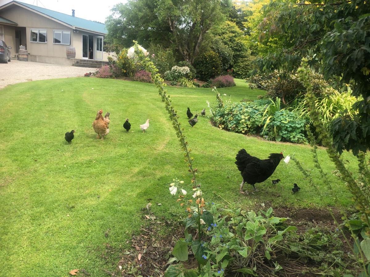 Southland Organic Farmstay Invercargill Extérieur photo